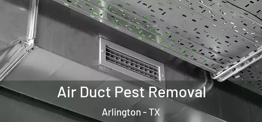  Air Duct Pest Removal Arlington - TX