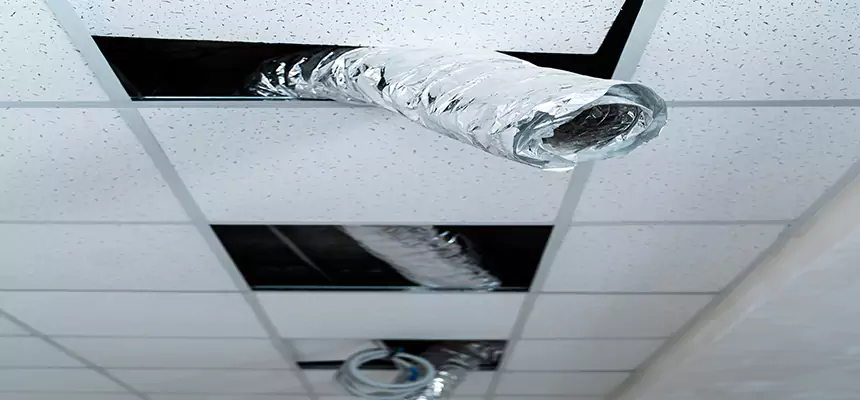 Our Air Duct Pet Hair Removal Services in Arlington, TX