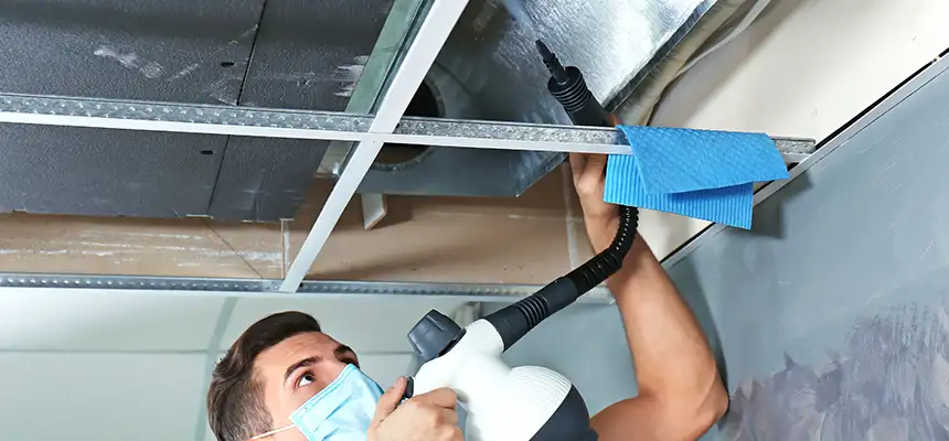Our Air Duct Rodent Removal Services in Arlington, TX