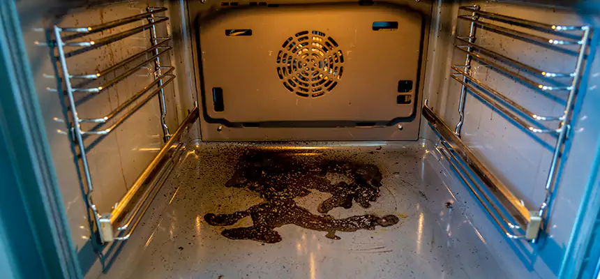 Our Dryer Vent Mold Cleaning Services in Arlington, TX