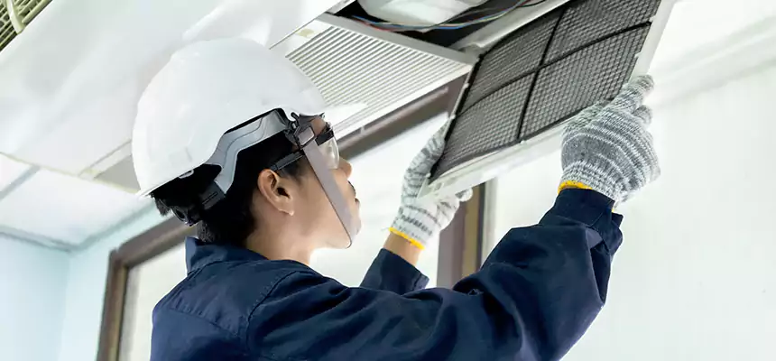 Our Mold & Mildew Removal from Air Ducts Services in Arlington, TX