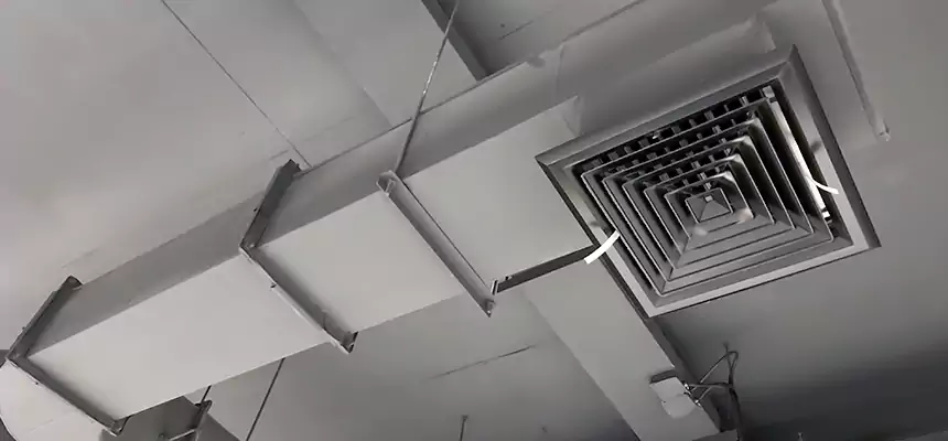 Our Pest Removal From Ducts Services in Arlington, TX