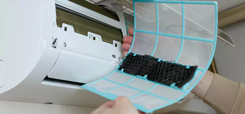 Gentle Ductwork Odor-Control Pet Dander Duct Cleaning in Arlington, TX