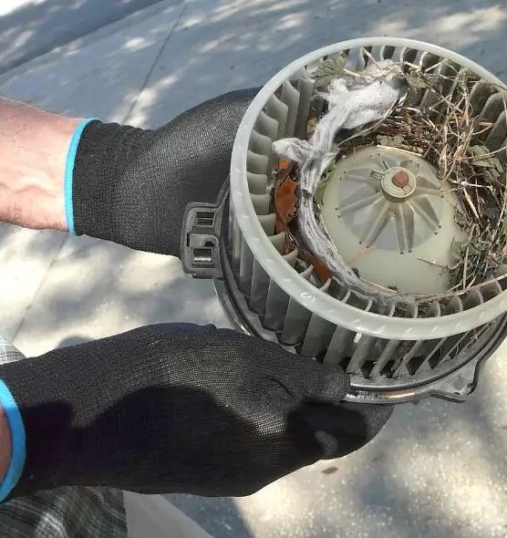 About Air Duct Mice Removal in Arlington, TX