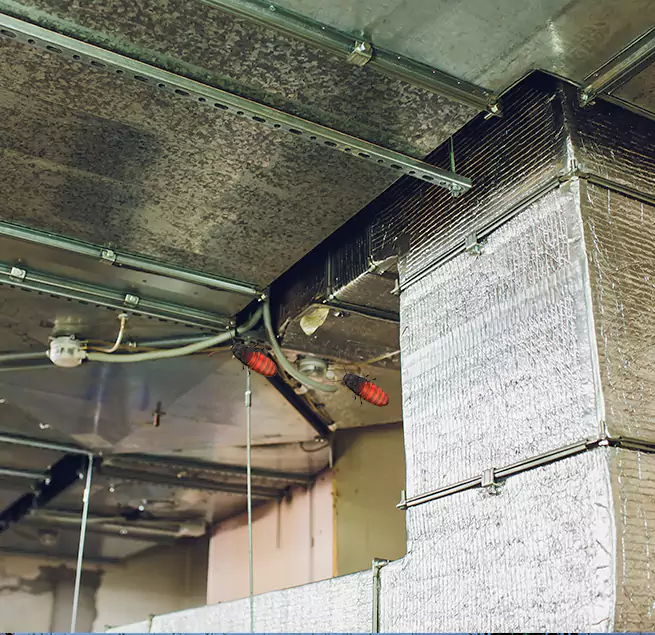 Why Homeowners & Businesses Trust Us in Arlington, TX?