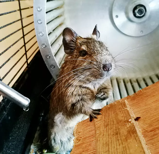 Why Homeowners & Businesses Trust Us Arlington, TX?